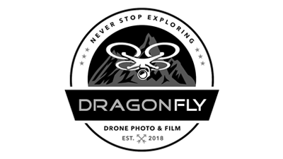 Logo DragonFly